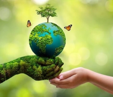 Bảo vệ Trái đất thông qua các sự kiện môi trường