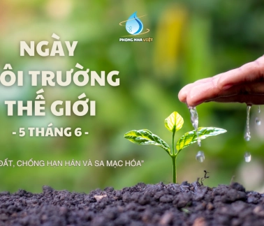 Ngày môi trường thế giới 2024 - Phục hồi đất, chống hạn hán và sa mạc hoá