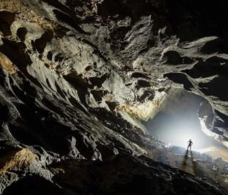 Cổ sinh vật Phong Nha – những bằng chứng tiến hóa của lịch sử Trái Đất