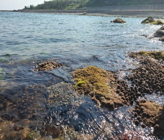 Đảo Cồn Cỏ - Nơi kết tinh giữa lịch sử và thiên nhiên