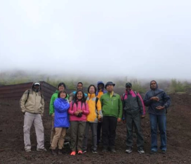 Tắm rừng - Nghệ thuật Shinrin-yoku của người Nhật