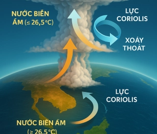 Bão nhiệt đới: hình thành, tác động và cách ứng phó