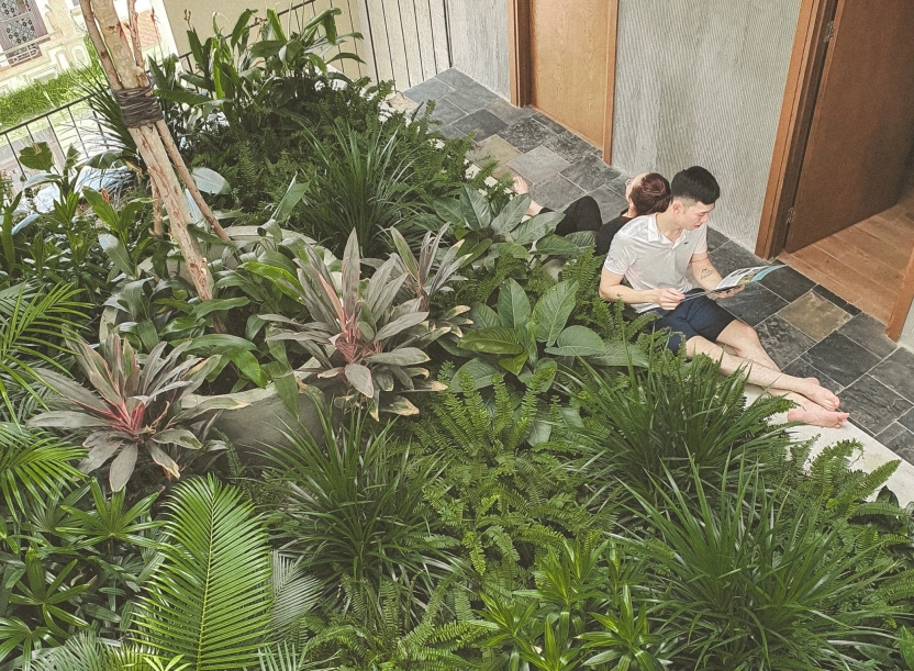 Cagina boutique hostel & coffee– kết hợp không gian xanh và thiết kế hiện đại