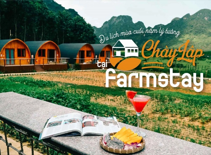 Chày Lập Farmstay – Nơi nghỉ dưỡng thư thái hoà mình vào thiên nhiên