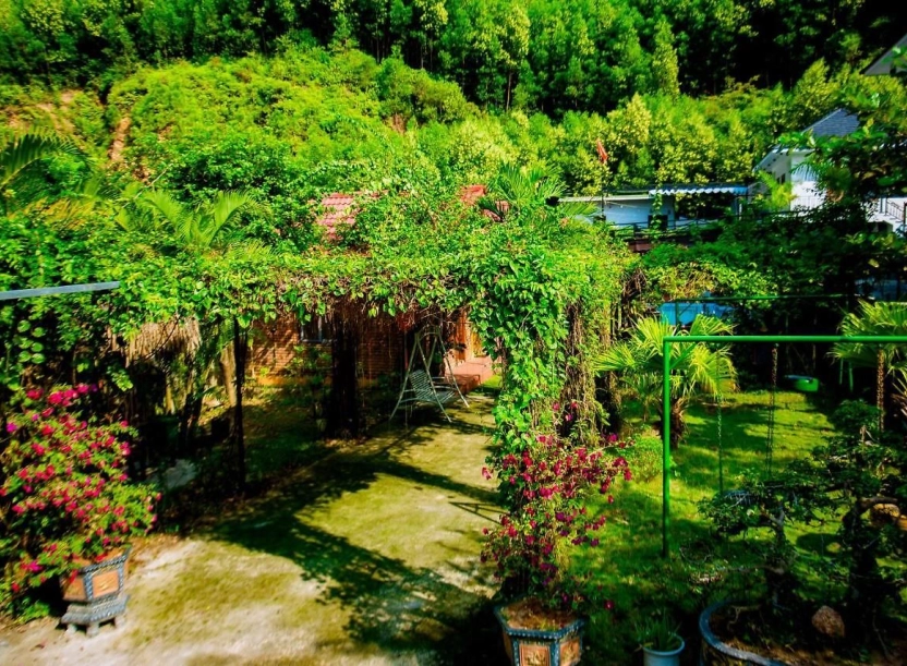 Hillside View Bungalow – điểm đến lý tưởng cho du khách khám phá Phong Nha