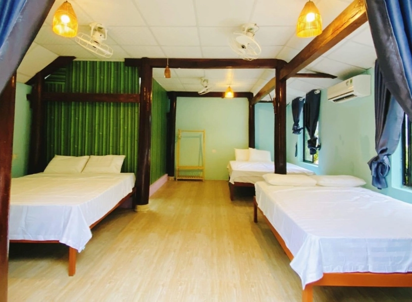 Jungle boss homestay – điểm đến nghỉ dưỡng thu hút khách du lịch tại Phong Nha