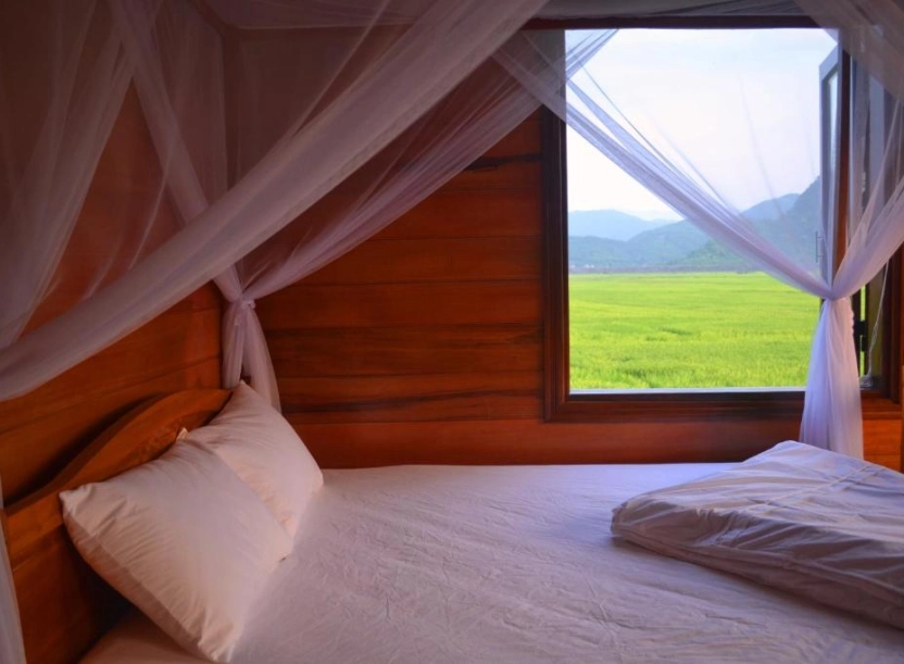 Jungle Boss Travelodge - Cánh cửa vào thế giới phiêu lưu