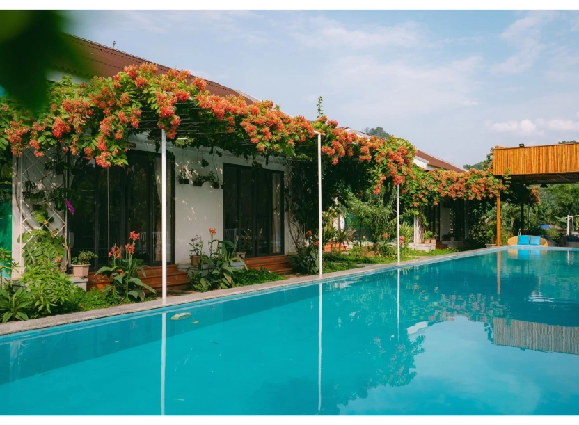 Son Doong Bungalow – Khách sạn nghỉ dưỡng tại khu vực Phong Nha