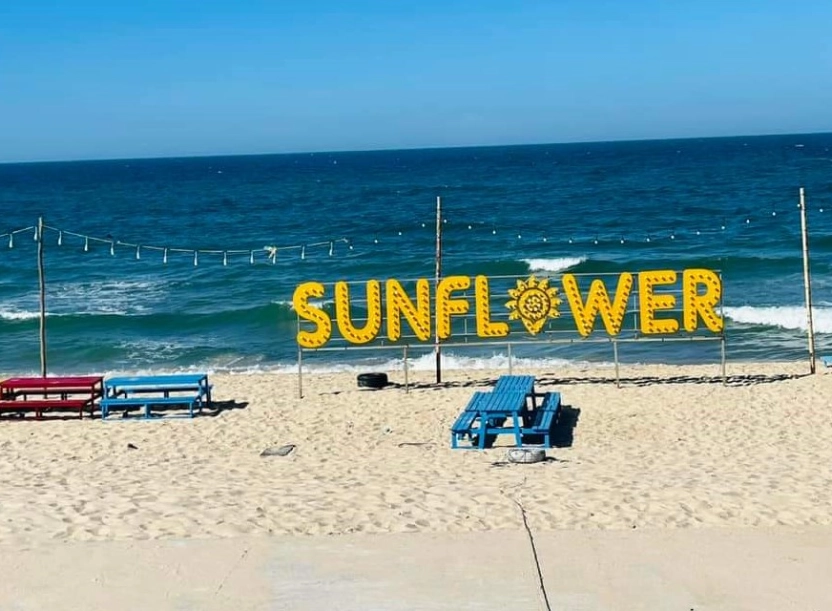Sunflower Homestay – homestay xanh mát cạnh biển, trọn vẹn mọi giác quan