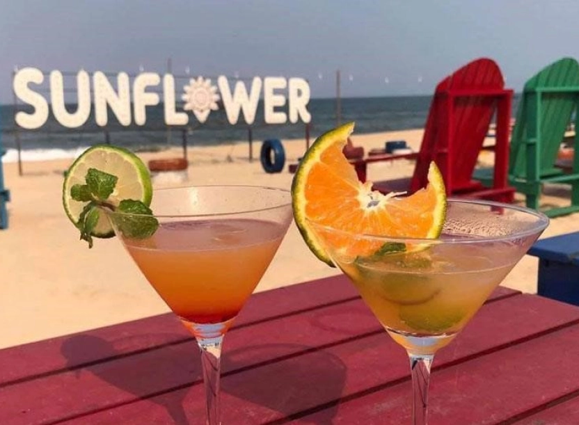 Sunflower Homestay – homestay xanh mát cạnh biển, trọn vẹn mọi giác quan