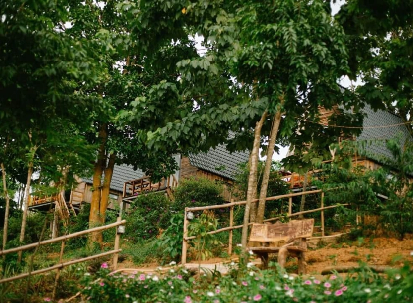 Khe Sanh Valley Farm - Hướng Hóa - Quảng Trị