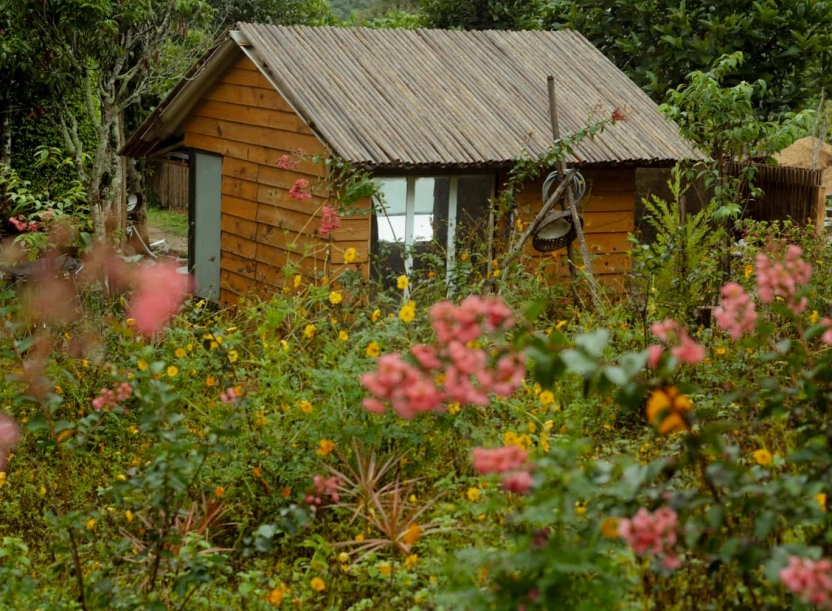 Năm mùa Bungalow - Hướng Hóa - Quảng Trị