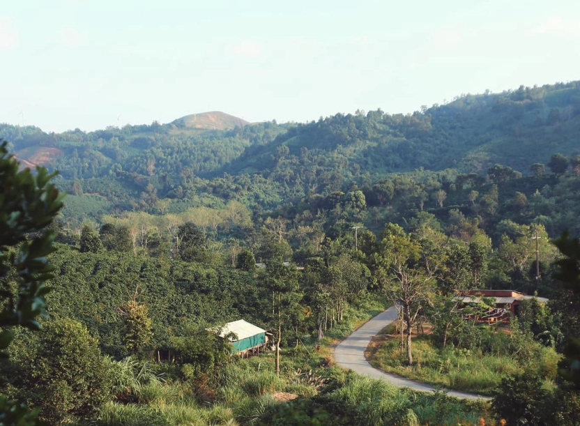 Năm mùa Bungalow - Hướng Hóa - Quảng Trị