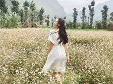 Kinh nghiệm khám phá Hà Giang mùa hoa tam giác mạch