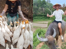 Một ngày hóa thân thành nông dân tại trang trại Tangs Farm