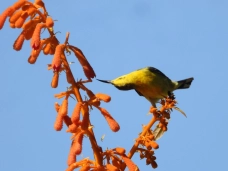 Bạch Mã – Nơi thiên nhiên đánh thức