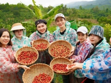 Khe Sanh: Một cái Tết thơm mùi Cao Nguyên
