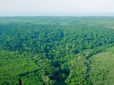 Một ngày tắm rừng  Rú Lịnh