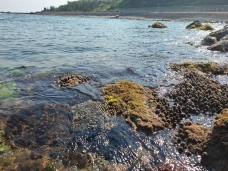 Một ngày trên đảo Cồn Cỏ