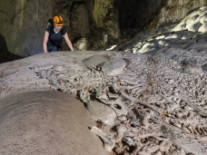 Phong Nha – Kẻ Bàng: From an Ancient Sea to a Karst World Hundreds of Millions of Years Old