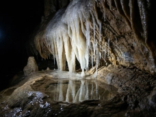 Phong Nha Hay Thiên Đường: Đâu Là Chân Ái Cho Chuyến Đi Của Bạn?