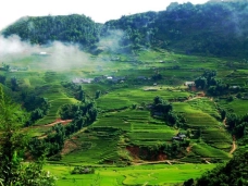 Mộc Châu - Sơn La
