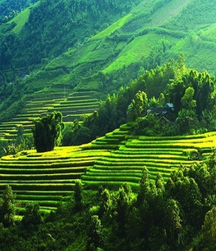 Mai châu - Hòa Bình