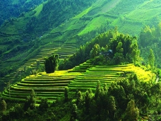 Mai châu - Hòa Bình