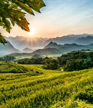 Thanh hóa – Lịch sử và Văn hóa