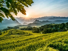Thanh hóa – Lịch sử và Văn hóa