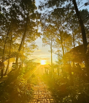 Đồi Mây Đắng - Địa điểm không thể bỏ qua khi đến Quảng Bình