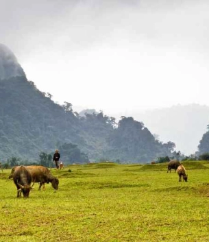 Khám phá vẻ đẹp của Làng Tân Hóa - Một trong những làng du lịch tốt nhất thế giới