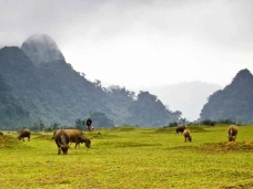 Khám phá vẻ đẹp của Làng Tân Hóa - Một trong những làng du lịch tốt nhất thế giới