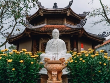 Hoang Phuc Ancient Pagoda – A Journey to Discover the 700-Year-Old Temple