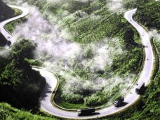 Sa Mu Pass Cloud Hunting Guide – A Mid-Mountain Paradise in Quang Tri