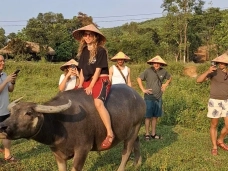 The Duck Tang Farm Phong Nha: Tickets, Activities &amp; Family Travel Guide