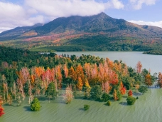 Rừng Lá Phong bên Hồ  Rào Quán – Trời Âu giữa đại ngàn Quảng Trị