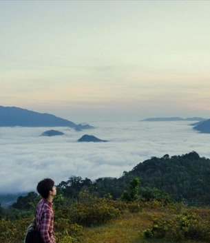 Sa Mu Pass Cloud Hunting Guide – A Mid-Mountain Paradise in Quang Tri