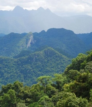 Đỉnh U Bò - Đỉnh cao 1000m