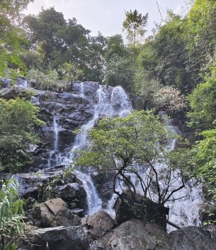 Vườn thực vật Phong Nha - Trekking trải nghiệm thiên nhiên