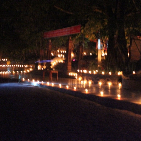 Đồng Hới – Hang Tám Cô – Vườn thực vật - Động Phong Nha - Đồng Hới