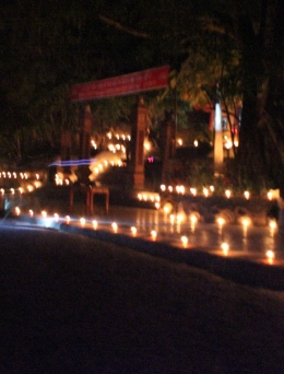 Đồng Hới – Hang Tám Cô – Vườn thực vật - Động Phong Nha - Đồng Hới