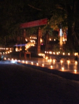 Đồng Hới – Hang Tám Cô – Vườn thực vật - Động Phong Nha - Đồng Hới