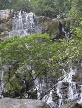 Đồng Hới – Động Phong Nha - Vườn Thực vật – Nước Moọc