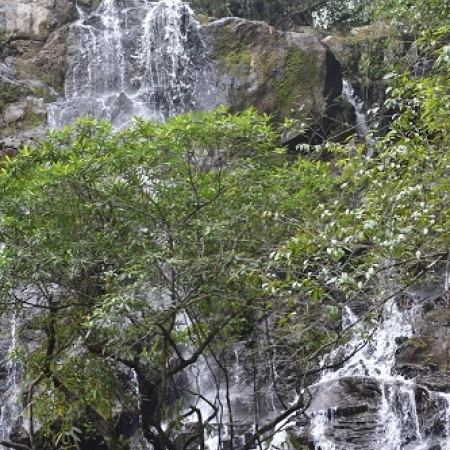 Đồng Hới – Động Phong Nha - Vườn Thực vật – Nước Moọc