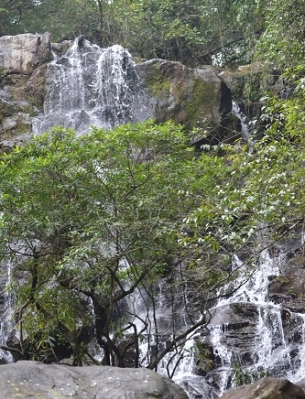 Dong Hoi – Phong Nha cave – Botanical Garden – Mooc spring