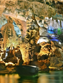 Đồng Hới - động Phong Nha - Vườn thực Vật - đỉnh núi U Bò