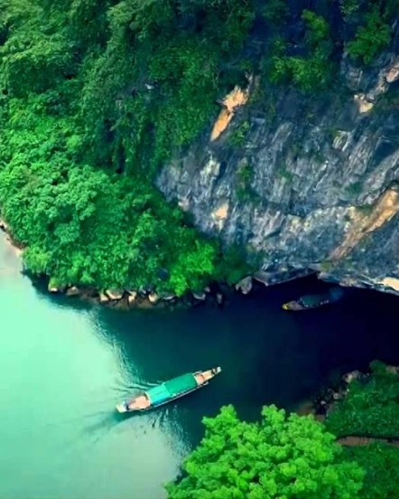 Động Thiên Đường – Suối Nước Moọc – Động Phong Nha – Vườn thực vật