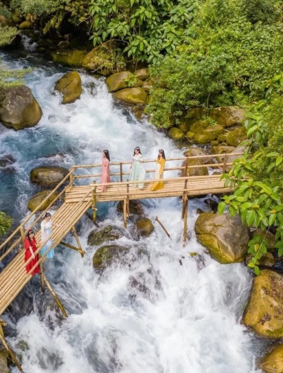 Full-Day Phong Nha Discovery: Sacred History, Tropical Nature &amp; Stunning Cave