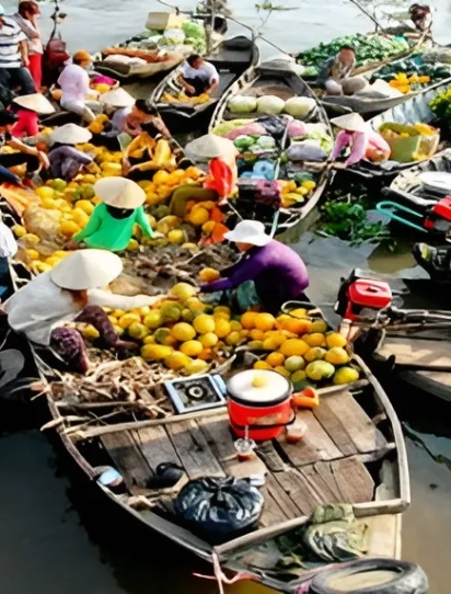 Thành phố Hồ Chí Minh – Bạc Liêu – Cà Mau – Cần Thơ